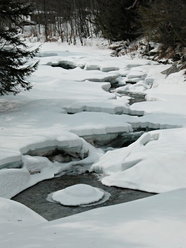 Frozen stream, Vermont